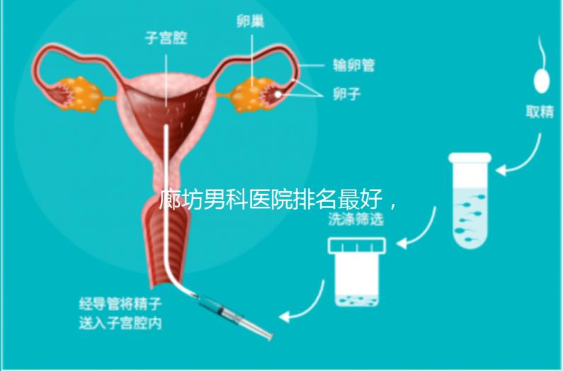 廊坊男科醫(yī)院排名最好，醫(yī)院出爐！廣陽這些機(jī)構(gòu)可以排隊(duì)
