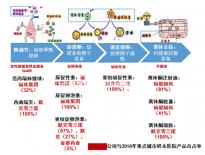 已生男寶說說懷孕特征，寶媽討論孕早期常見身體發(fā)熱