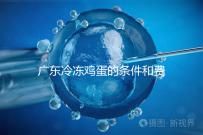 廣東冷凍雞蛋的條件和費用明細！包含廣州前三醫院的詳細信息！