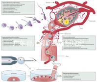 廣東育兒假期是強(qiáng)制規(guī)定!深圳包不包括雙休日這均有答復(fù)