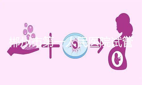 郴州市第一人民醫院試管怎么樣，從助孕成功率可窺探一二