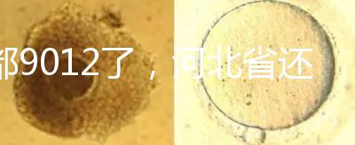 都9012了，河北省還沒三代試管嬰兒醫(yī)院，看看姐妹怎么說