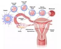 問題奶粉除了退換處理，還可要求十倍標準的賠償金