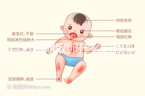 自然周期取卵什么時候??？最佳時間應控制在這個時候