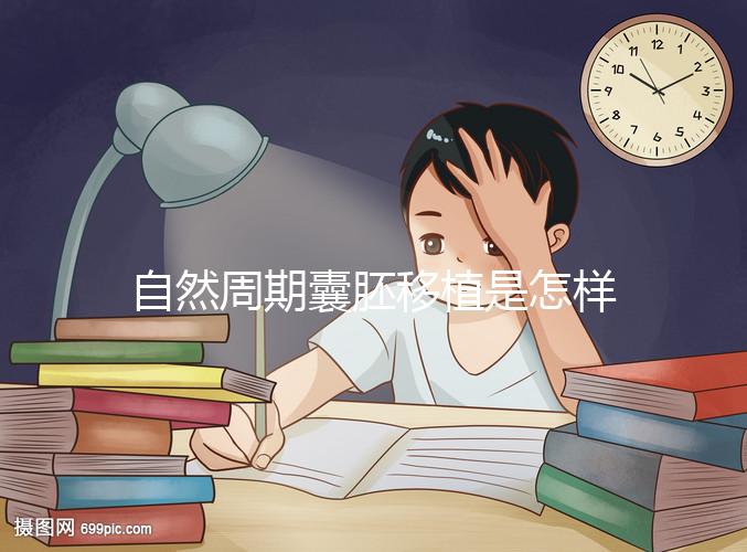 自然周期囊胚移植是怎樣的？5個步驟囊括所有流程