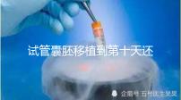 試管囊胚移植到第十天還是白板別擔心,放松心態等逆襲吧!