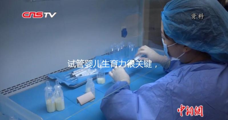 試管嬰兒生育力很關(guān)鍵，4個方面評估好不好？