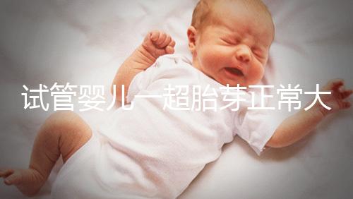 試管嬰兒一超胎芽正常大小不超這個數,2mm不一定會胎停