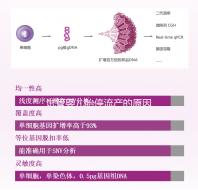 試管嬰兒胎停流產的原因剖析，胎停育與胎停孕大不同