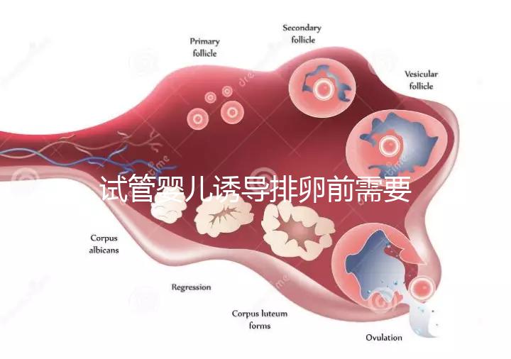 試管嬰兒誘導(dǎo)排卵前需要做哪些準備工作?