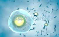 評(píng)估卵巢功能必做檢查?大家說(shuō)的AMH到底是什么