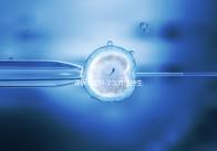 詳訴未婚懷孕女方堅持生下來會怎樣,影響上戶別不知道