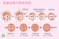 誰(shuí)說(shuō)北京海淀剖宮產(chǎn)自付費(fèi)用高，了解2024年生育保險(xiǎn)報(bào)銷比例？