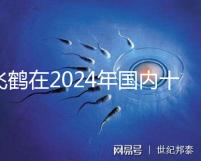 飛鶴在2024年國內十大放心奶粉品牌中排名第一