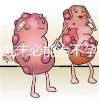 麒麟丸未必能治不孕!切勿盲目服用而耽誤最佳生育時(shí)機(jī)