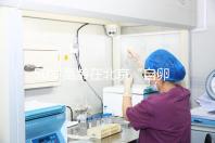 50歲高齡在北京“自卵”做試管嬰兒成功率高嗎？