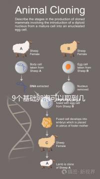 9個(gè)基礎(chǔ)卵泡可以取到幾個(gè)卵戳，促排后會(huì)不會(huì)增加很重要