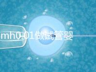 amh0.01做試管嬰兒有成功的嗎?有無卵子才是好孕關(guān)鍵