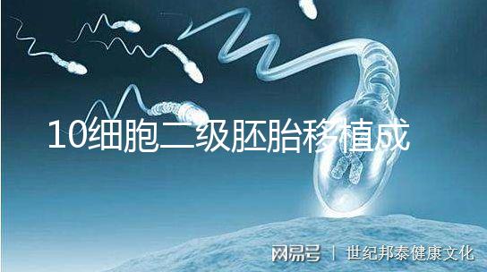 10細(xì)胞二級(jí)胚胎移植成功率解析,應(yīng)不應(yīng)該養(yǎng)囊答案在這