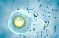 12個(gè)胚胎養(yǎng)囊五個(gè)也很正常，看完成功率就知所言非虛
