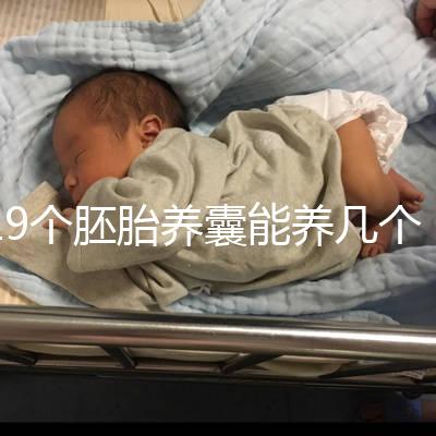 19個胚胎養(yǎng)囊能養(yǎng)幾個真難說,質(zhì)量好都成功了也屬正常