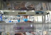 36歲5月懷孕是男孩還是女孩？這些生男生女特征可以看看