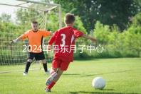 2024年丹東月子中心收費標準，能否接生問題整理，想要制作的戳