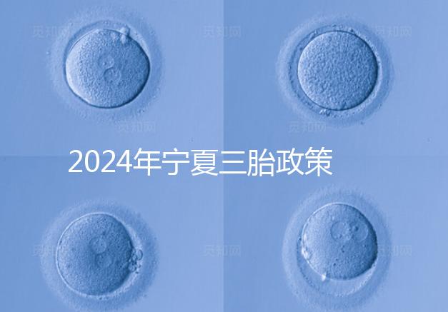 2024年寧夏三胎政策最新規定來襲，附西夏區實施時間