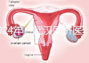 2024年，武漢同濟醫(yī)院不孕癥醫(yī)生排名公布，選擇專家迅速登記