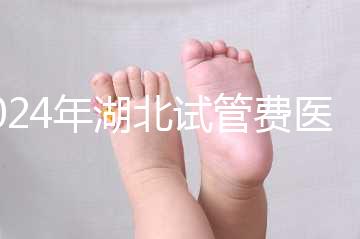 2024年湖北試管費(fèi)醫(yī)療保險(xiǎn)可以報(bào)銷?專家:時(shí)間還沒到?