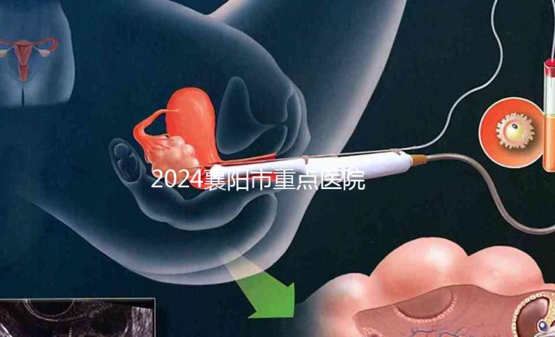 2024襄陽市重點(diǎn)醫(yī)院試管嬰兒費(fèi)用明細(xì),各項(xiàng)收費(fèi)標(biāo)準(zhǔn)已列出